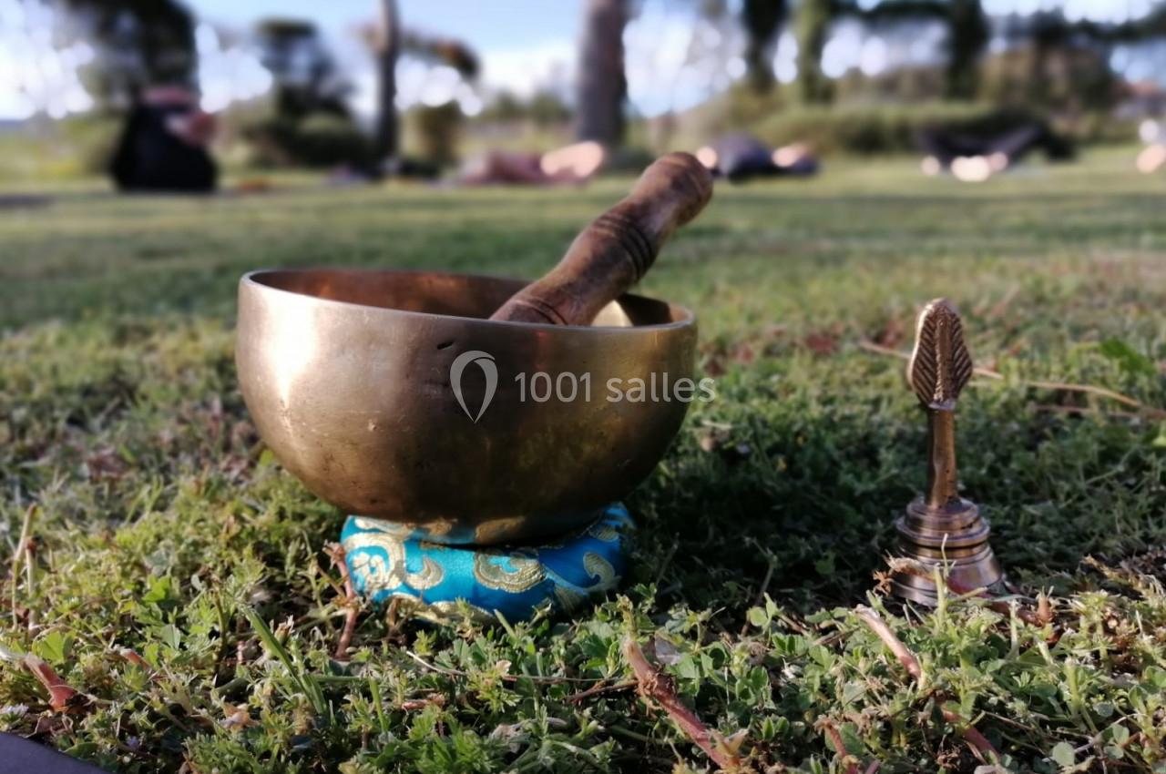 Location salle Cabrières-d'Avignon (Vaucluse) - Le Mas de la Lise #18