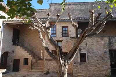 Location salle Cabrières-d'Avignon (Vaucluse) - Le Mas de la Lise #33