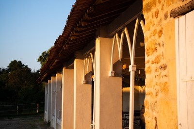 Étang entouré de végétation dense au coucher du soleil, avec une lumière dorée illuminant les arbres et l'eau.