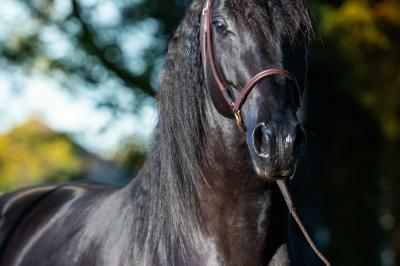Salle de réception lumineuse avec des tables rondes dressées, des chaises blanches et des chandeliers élégants.