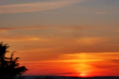 Miniature Location salle Saint-Samson-de-la-Roque (Eure) - Manoir Néo Normand #48 Passerelle en bois surplombant un jardin fleuri avec des arbres et un ciel dégagé en arrière-plan.
