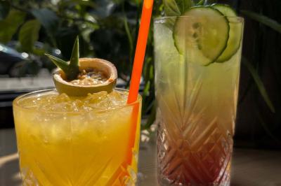 Location salle Balma (Haute-Garonne) - Sapiens #19