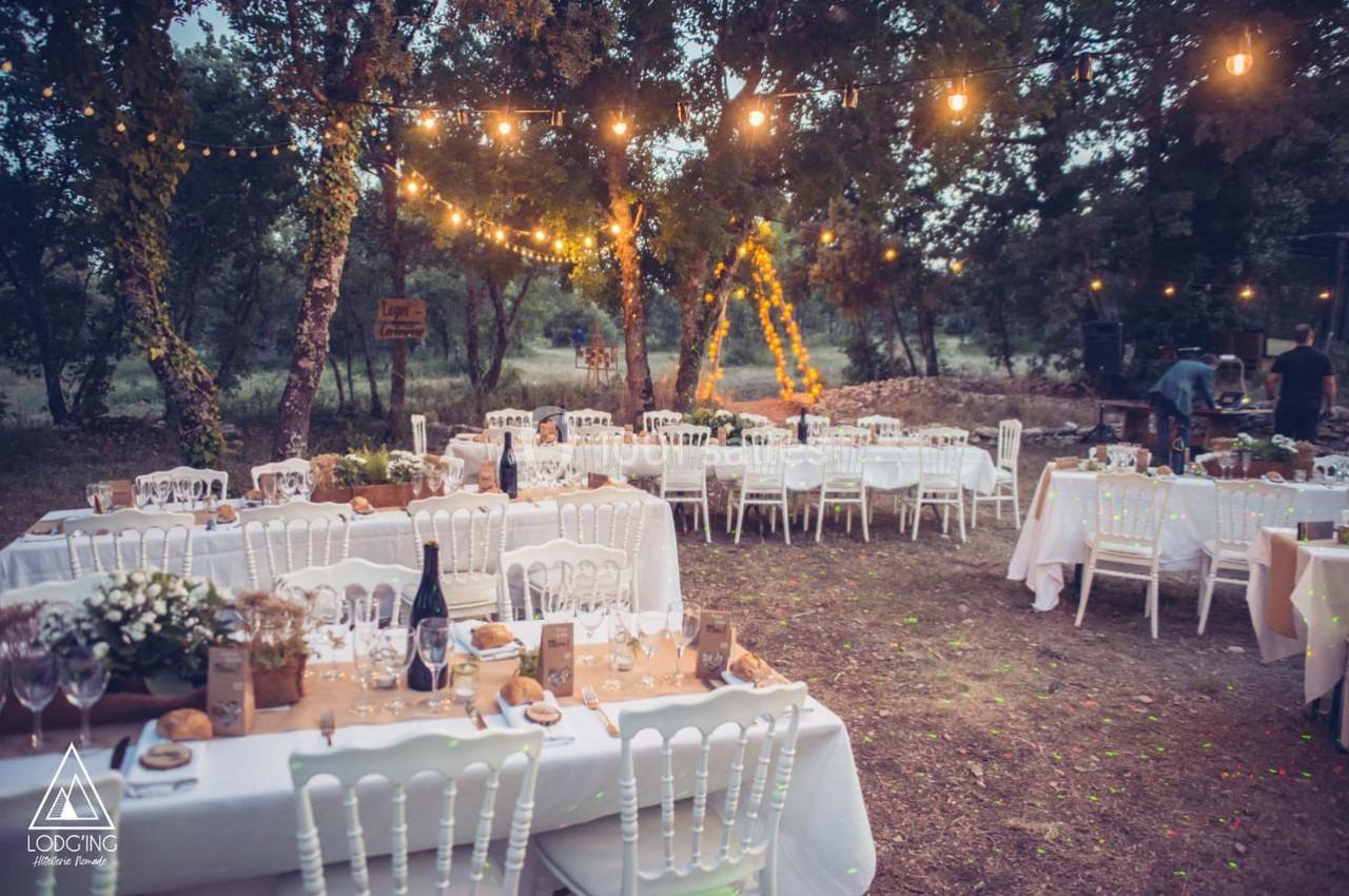 Tables décorées pour un dîner en plein air sous des guirlandes lumineuses, entourées d'arbres dans un cadre naturel.