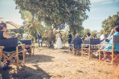 Sanitaires modernes en bois avec cabines, lavabos et vue sur un espace extérieur arboré.