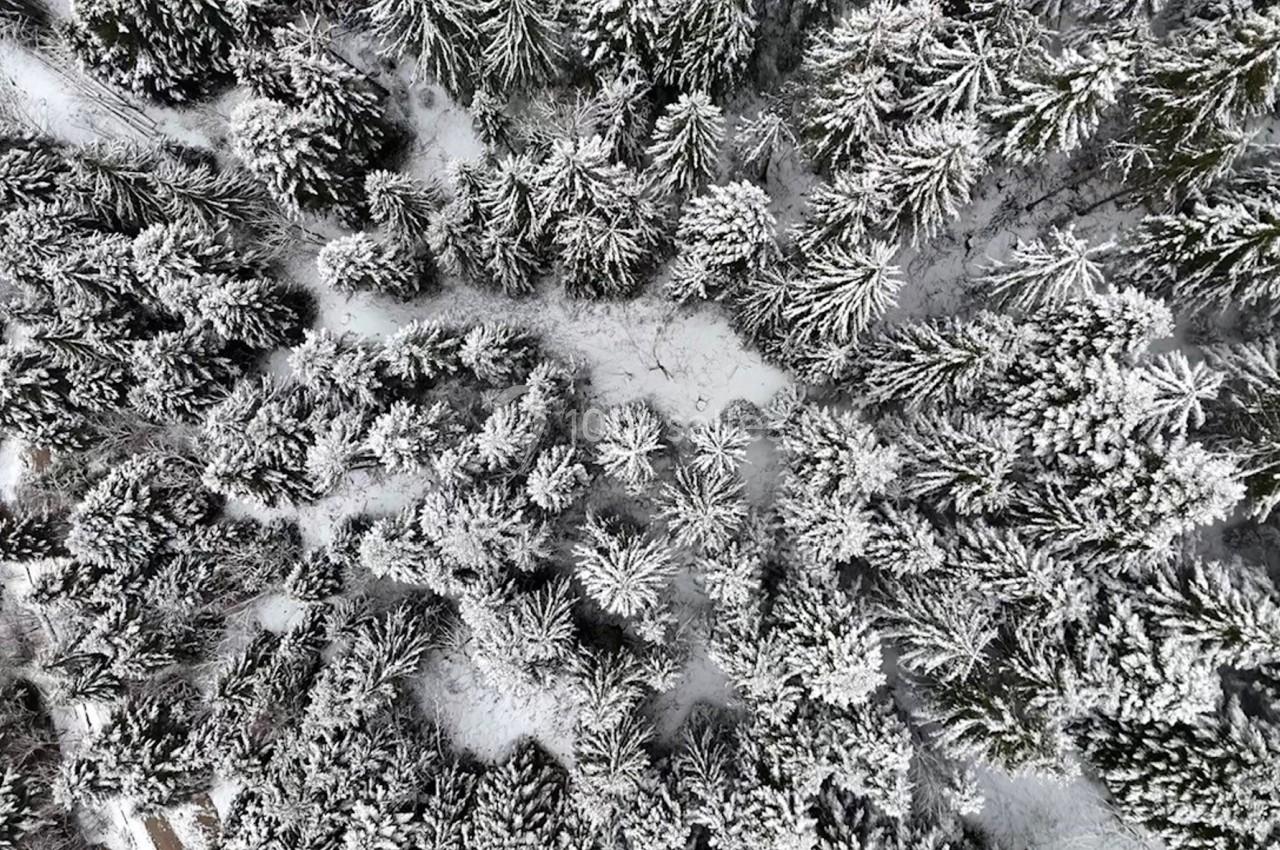 Photo Drone For You #7