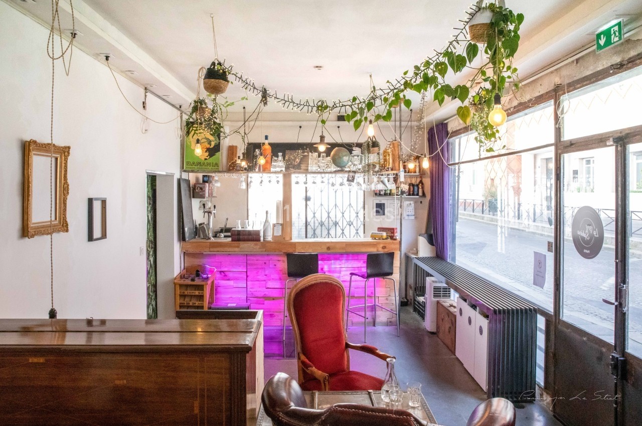 Intérieur d'un café lumineux avec un bar en bois, des plantes suspendues et des fauteuils disposés près d'une grande baie…