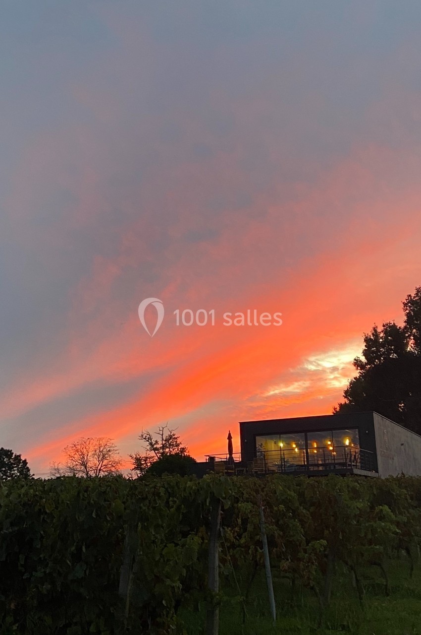 Location salle Saint-Genès-de-Lombaud (Gironde) - Domaine du Château Icla #17 Ciel aux teintes orangées et roses au coucher du soleil, avec un bâtiment moderne entouré de vignes au premier plan.