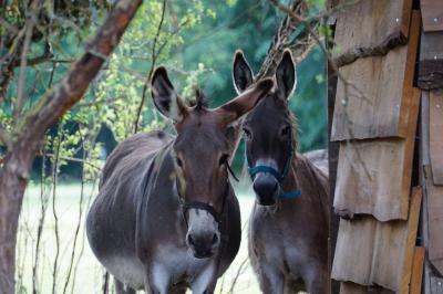 Location salle Nainville-les-Roches (Essonne) - Le Château Nainville les Roches #24
