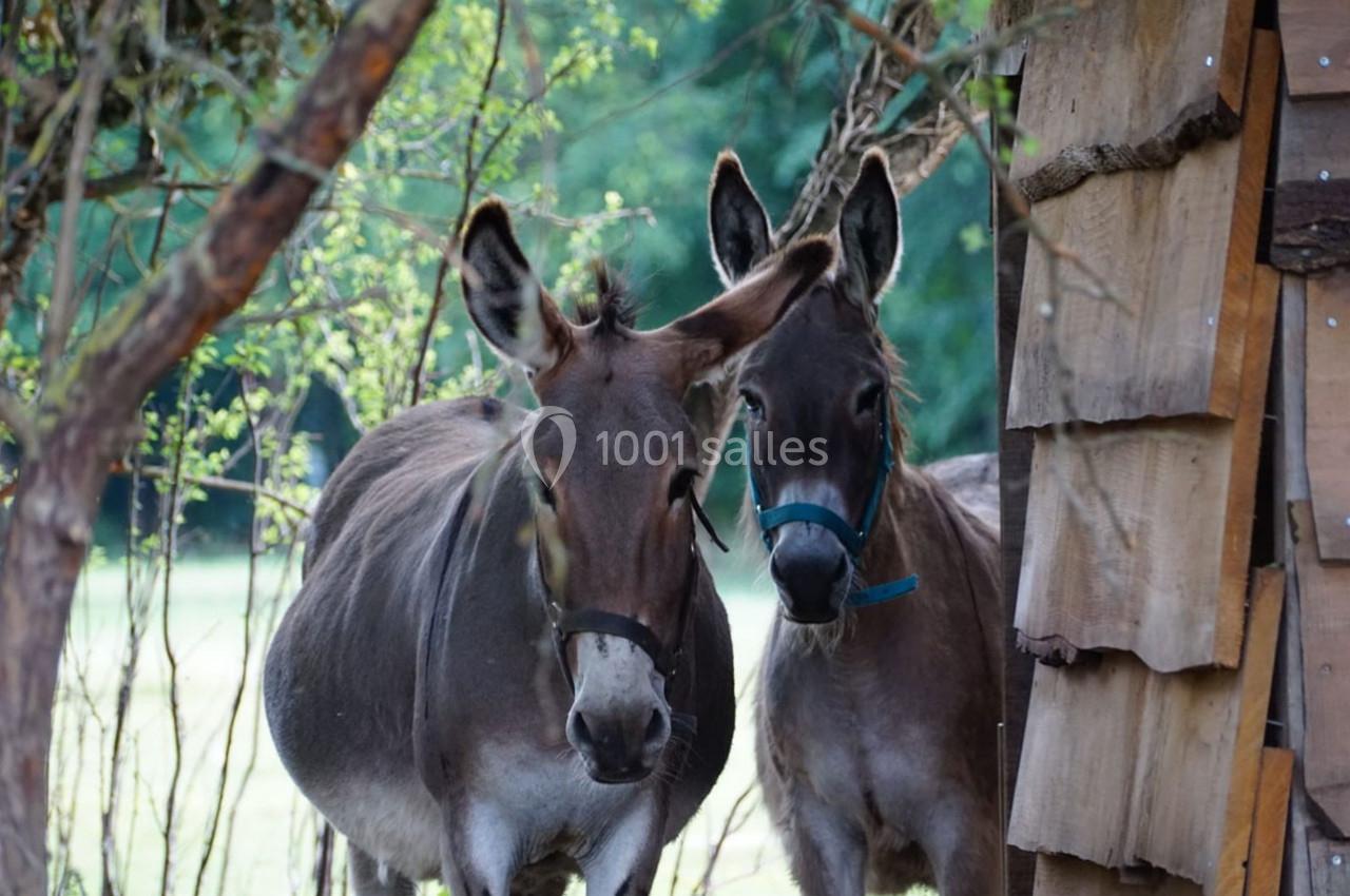 Location salle Nainville-les-Roches (Essonne) - Le Château Nainville les Roches #21