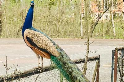 Location salle Nainville-les-Roches (Essonne) - Le Château Nainville les Roches #37