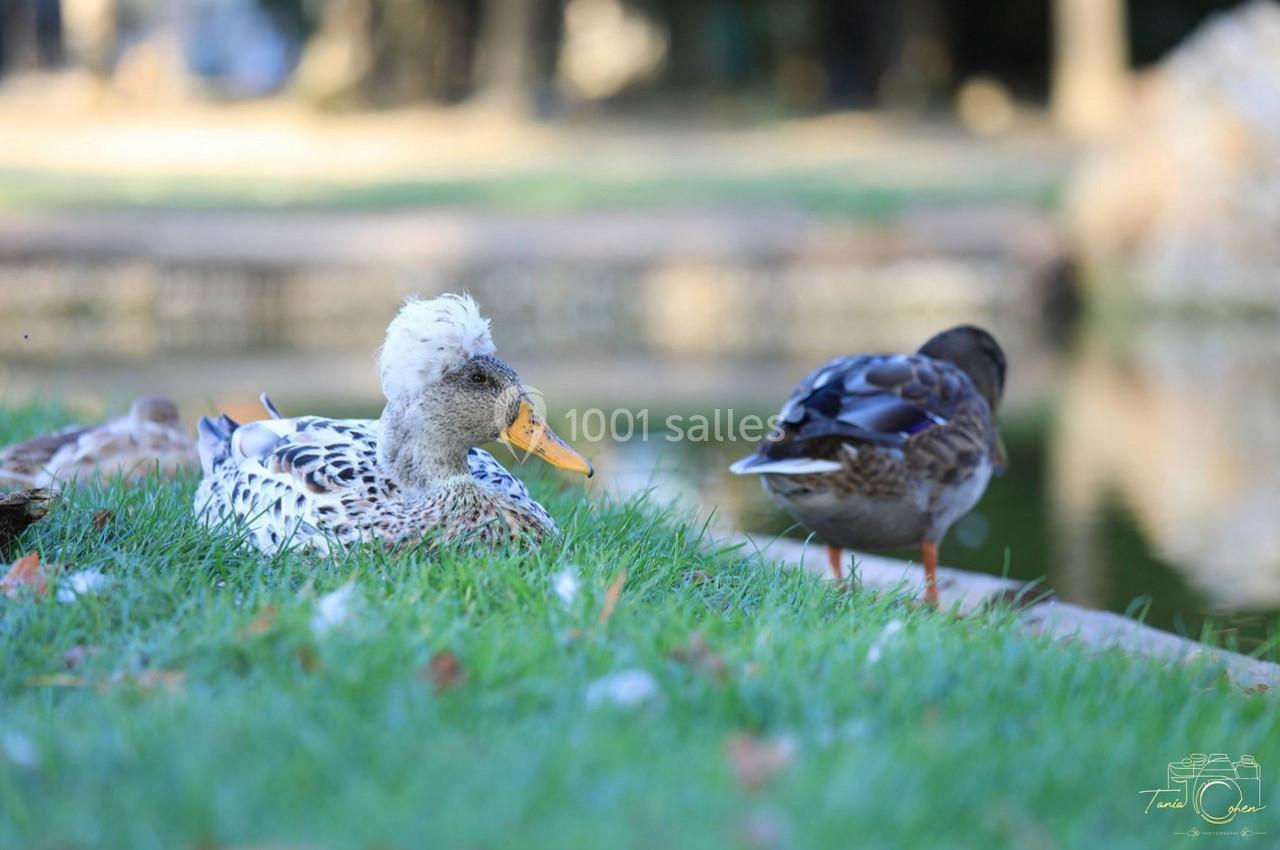 Location salle Nainville-les-Roches (Essonne) - Le Château Nainville les Roches #28