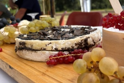 Camion-restaurant jaune décoré de plantes et guirlandes lumineuses, proposant pâtes, gnocchis et cocktails.