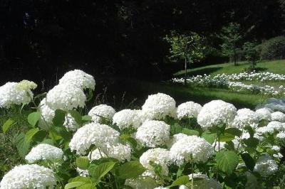 Location salle Château-l'Évêque (Dordogne) - Château L'Evêque en Périgord #12