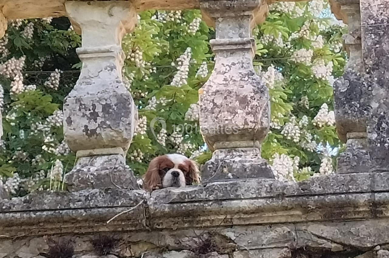 Igor veille au bonheur de chacun