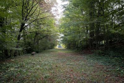 Location salle Château-l'Évêque (Dordogne) - Château L'Evêque en Périgord #12