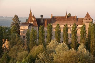 Location salle Château-l'Évêque (Dordogne) - Château L'Evêque en Périgord #12