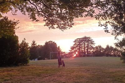 Disposition de bancs en bois face à une arche décorée pour une cérémonie en plein air, entourée de verdure.