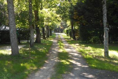 Disposition de bancs en bois face à une arche décorée pour une cérémonie en plein air, entourée de verdure.