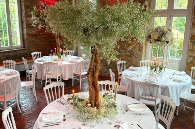 Logo avec le texte ’Maison Nelson’ en typographies colorées et manuscrites, accompagné de ’Villecerf’ en bas.