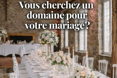 Logo avec le texte ’Maison Nelson’ en typographies colorées et manuscrites, accompagné de ’Villecerf’ en bas.