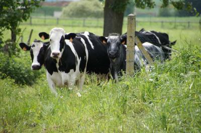 Location salle La Boissière-École (Yvelines) - Les Espaces de la Tremblaye #34