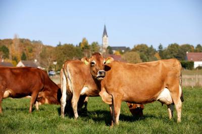 Location salle La Boissière-École (Yvelines) - Les Espaces de la Tremblaye #34
