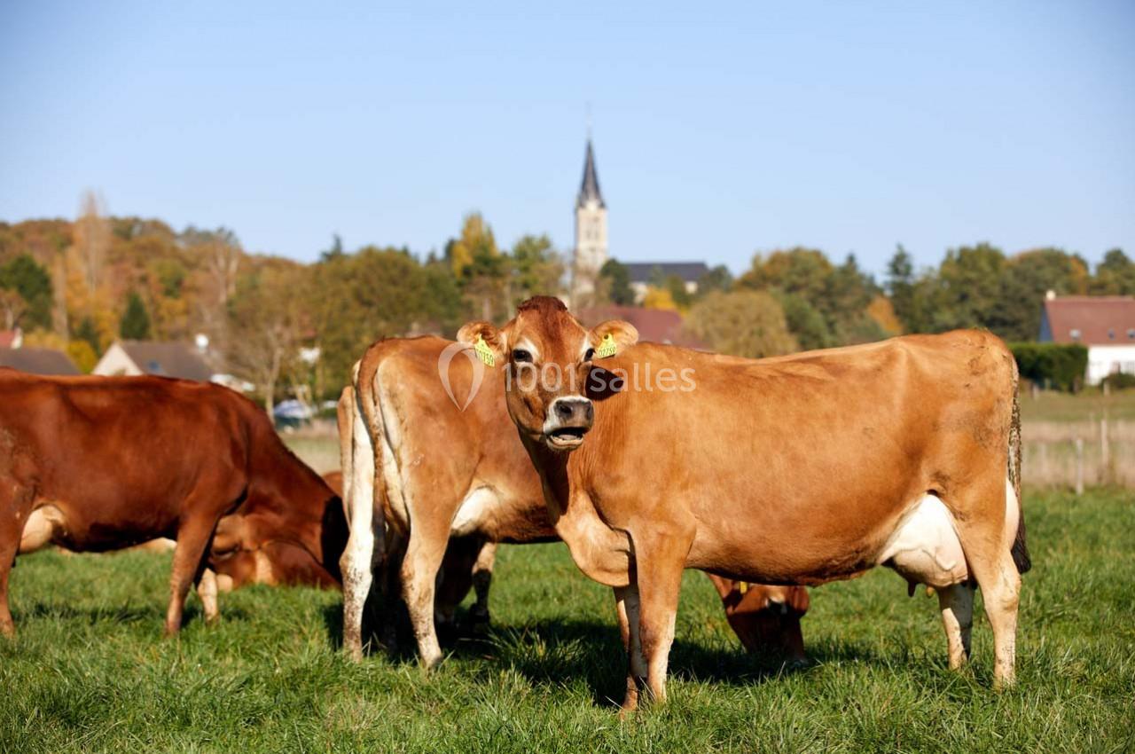 Location salle La Boissière-École (Yvelines) - Les Espaces de la Tremblaye #17