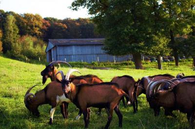 Location salle La Boissière-École (Yvelines) - Les Espaces de la Tremblaye #34