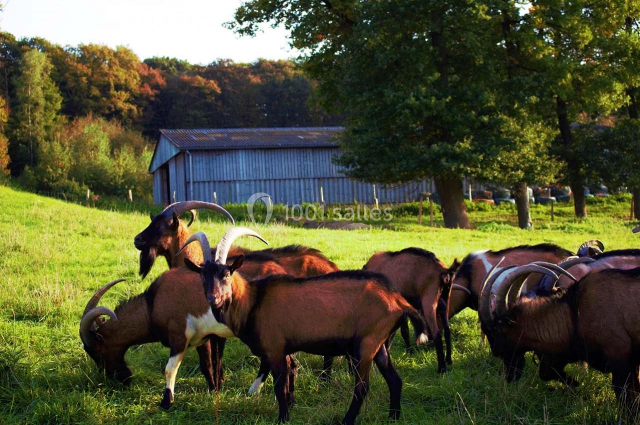 Location salle La Boissière-École (Yvelines) - Les Espaces de la Tremblaye #18