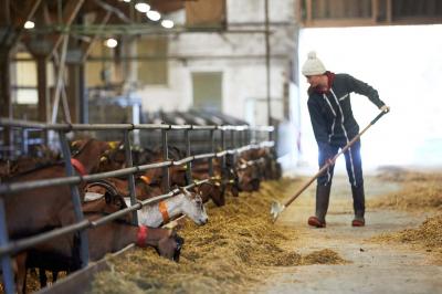 Location salle La Boissière-École (Yvelines) - Les Espaces de la Tremblaye #34
