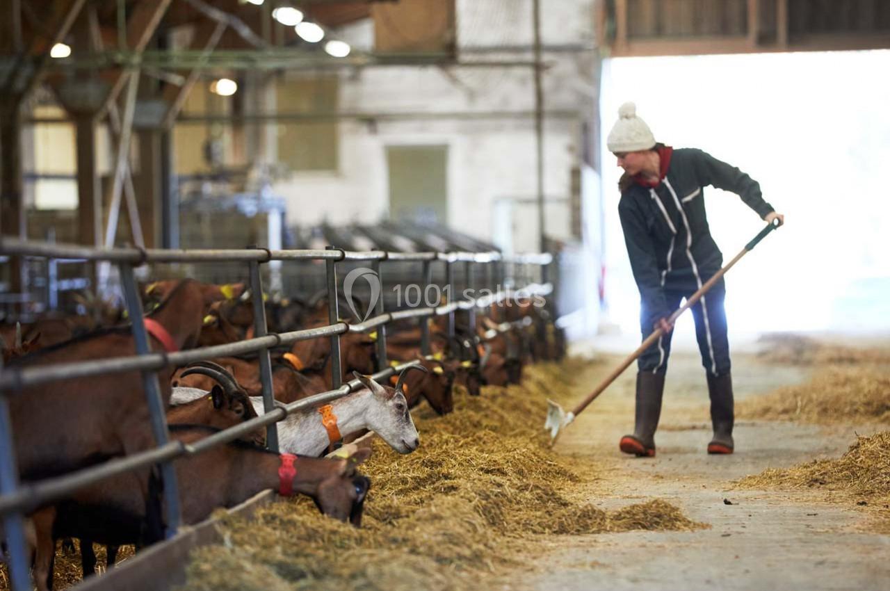 Location salle La Boissière-École (Yvelines) - Les Espaces de la Tremblaye #13