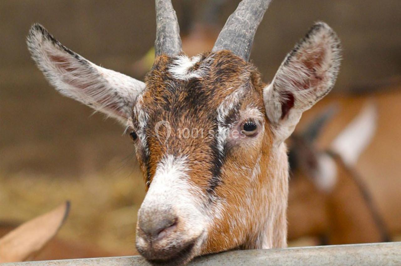 Location salle La Boissière-École (Yvelines) - Les Espaces de la Tremblaye #20