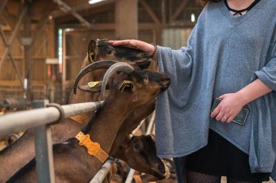 Location salle La Boissière-École (Yvelines) - Les Espaces de la Tremblaye #34