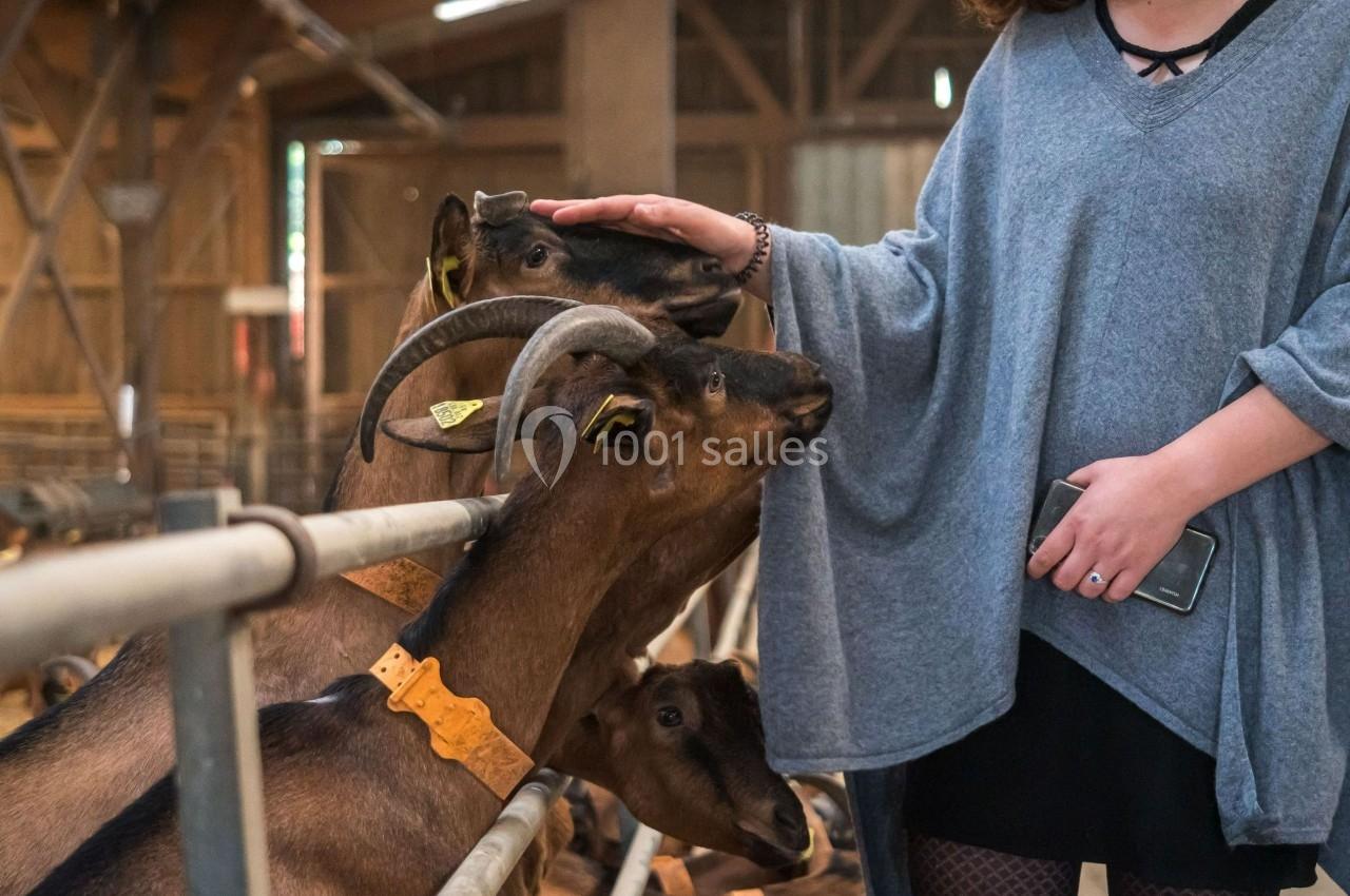 Location salle La Boissière-École (Yvelines) - Les Espaces de la Tremblaye #27