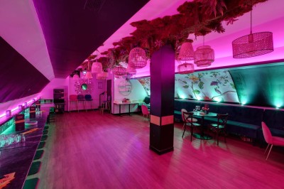 Salle de restaurant lumineuse avec banquettes bleues, chaises colorées, décor végétal et éclairage chaleureux.