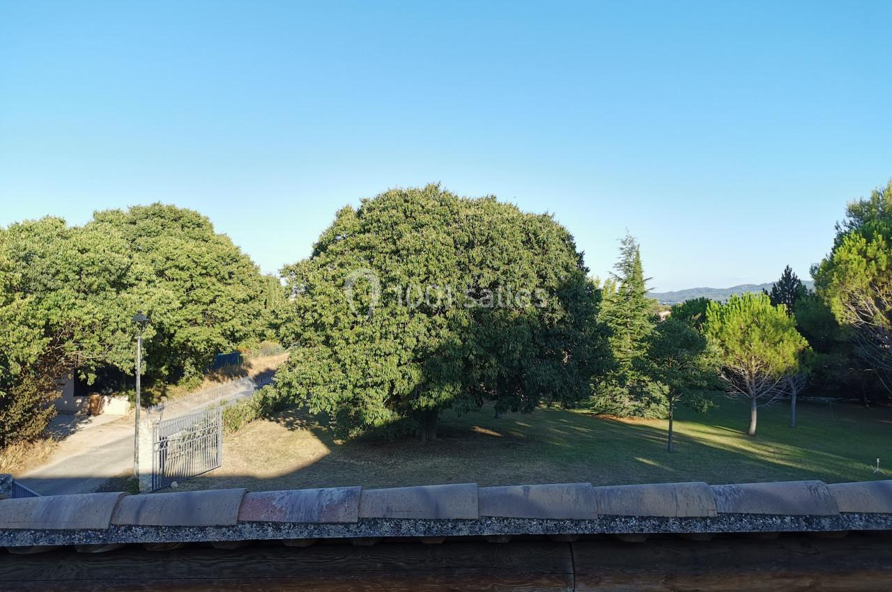 Vue d'un jardin arboré avec une allée, des arbres et un ciel dégagé en arrière-plan.
