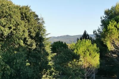 Plan dessiné à la main d'un jardin avec piscine, oliveraie, pelouse, orangerie et divers aménagements paysagers.