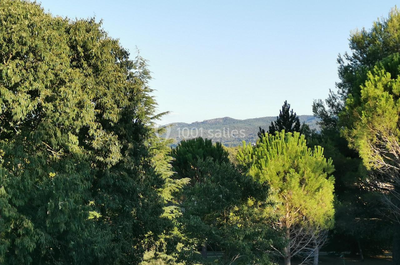 Paysage avec des arbres verts au premier plan et des collines boisées sous un ciel bleu clair à l'arrière-plan.