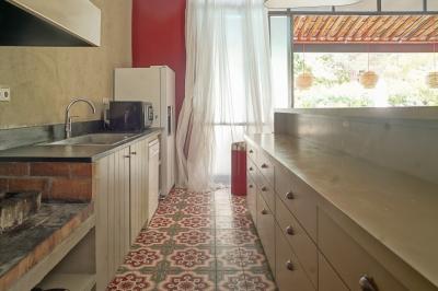 Plan dessiné à la main d'un jardin avec piscine, oliveraie, pelouse, orangerie et divers aménagements paysagers.