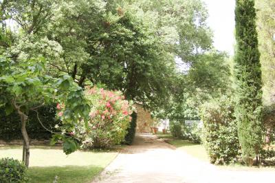 Plan dessiné à la main d'un jardin avec piscine, oliveraie, pelouse, orangerie et divers aménagements paysagers.