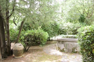 Plan dessiné à la main d'un jardin avec piscine, oliveraie, pelouse, orangerie et divers aménagements paysagers.