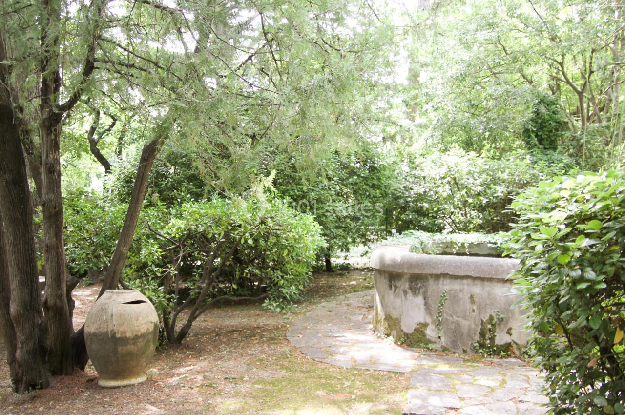 Chemin en pierre bordé de verdure avec un grand pot en terre cuite et un ancien bassin en béton.