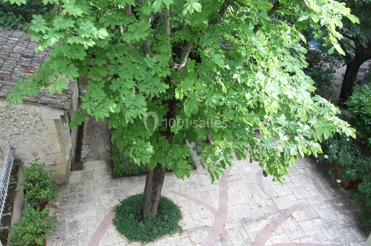 Vue aérienne d'une cour pavée entourée de verdure, avec un grand arbre au centre et des buissons en bordure.
