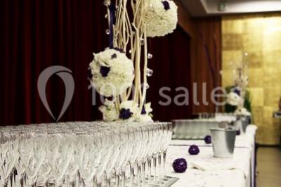 Location salle Toulouse (Haute-Garonne) - Hôtel Palladia #21