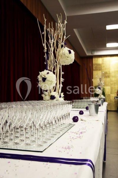 Location salle Toulouse (Haute-Garonne) - Hôtel Palladia #12