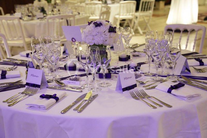 Location salle Toulouse (Haute-Garonne) - Hôtel Palladia #16