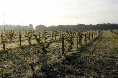 Location salle Lion-en-Sullias (Loiret) - Le Hameau du Perrat #50