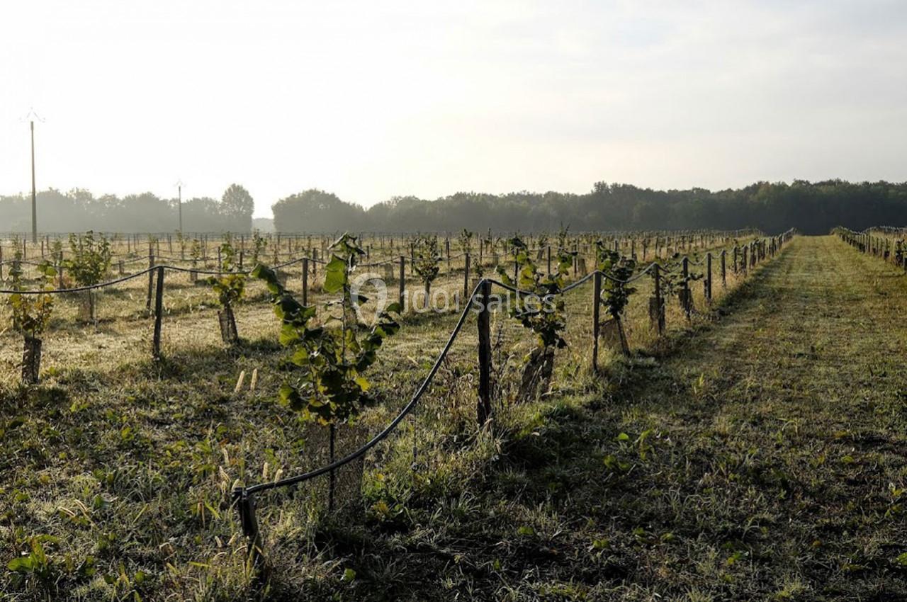 Location salle Lion-en-Sullias (Loiret) - Le Hameau du Perrat #24