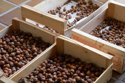 Location salle Lion-en-Sullias (Loiret) - Le Hameau du Perrat #50