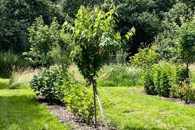 Location salle Lion-en-Sullias (Loiret) - Le Hameau du Perrat #50